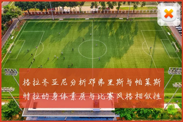 格拉齐亚尼分析邓弗里斯与帕莱斯特拉的身体素质与比赛风格相似性